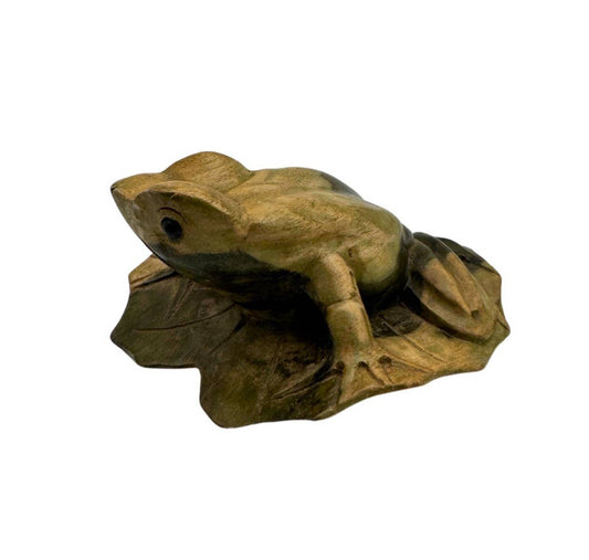 Natural Wooden Frog on Hibiscus Leaf