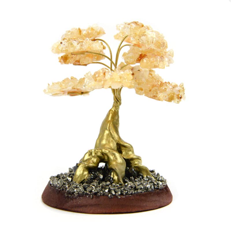Gold Cascajo Trees
