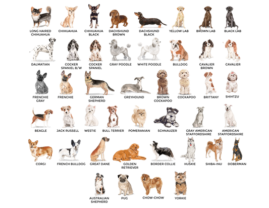 Love And A Dog Tea Towel: Natural • Cotton/Linen Blend -Dash