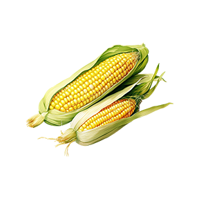 Corn Sticker