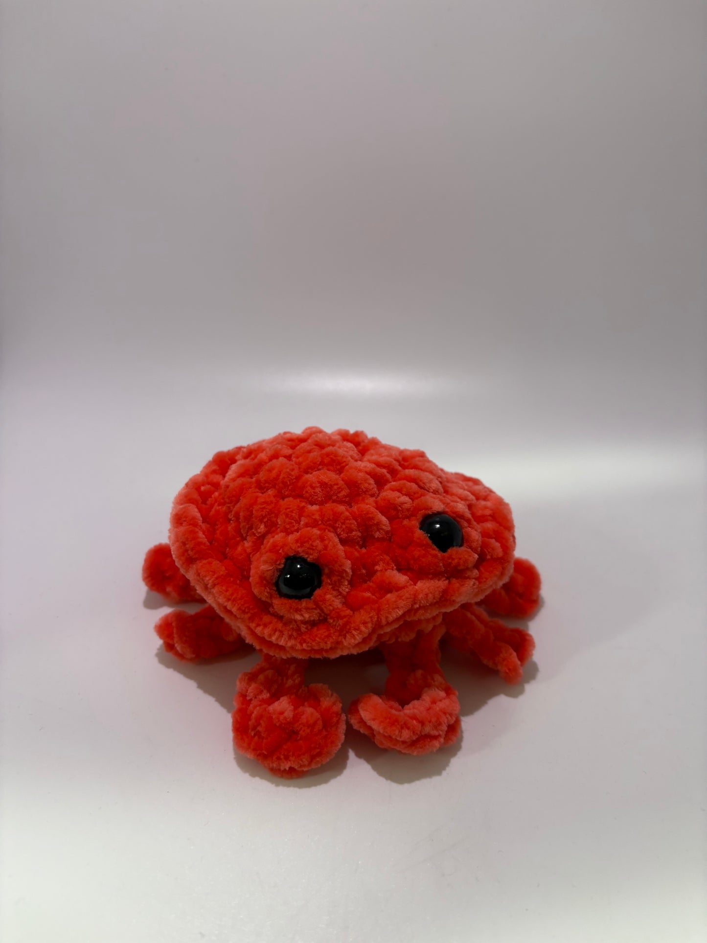 Ocean Activity Crab