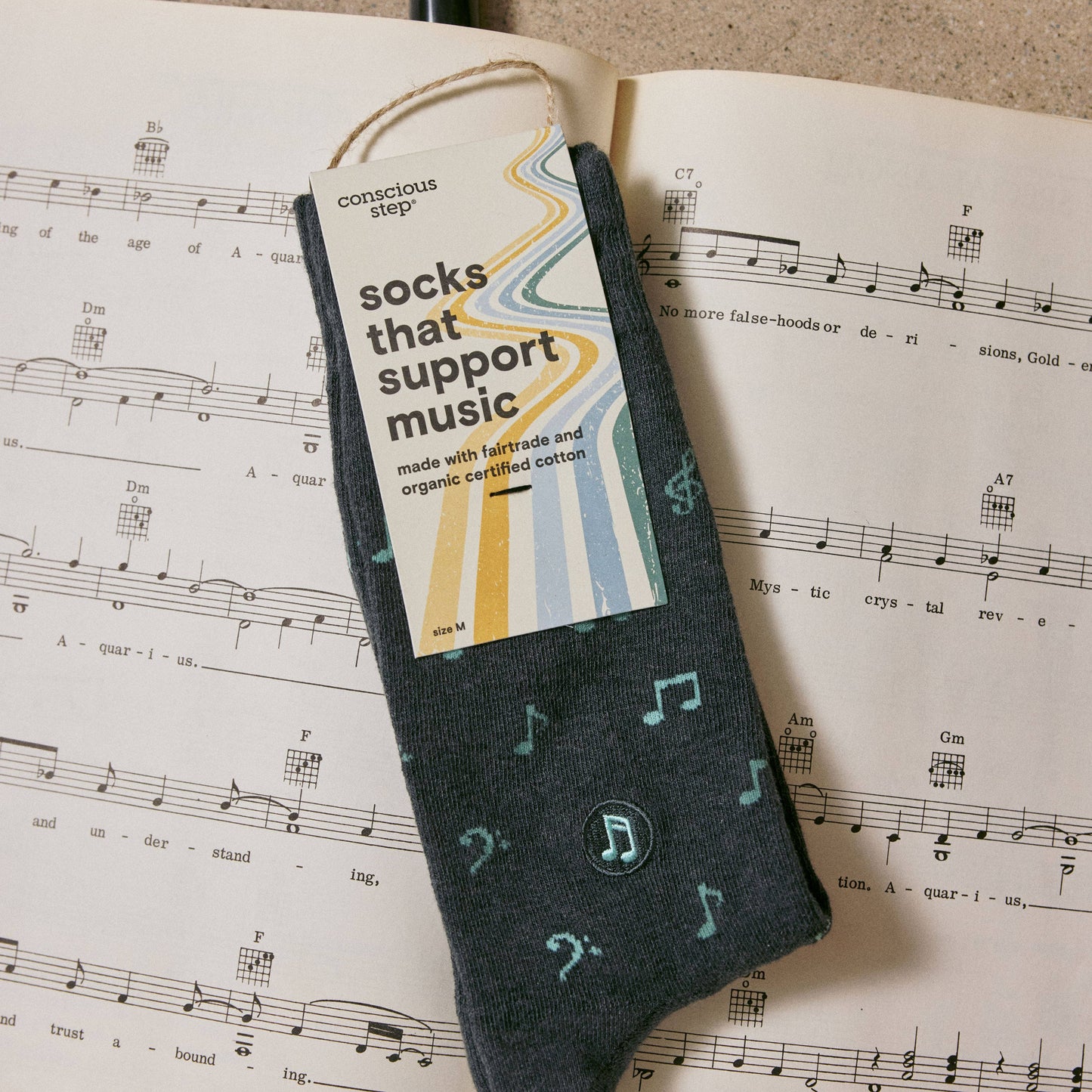 Socks that Support Music (Gray Music Notes): Small