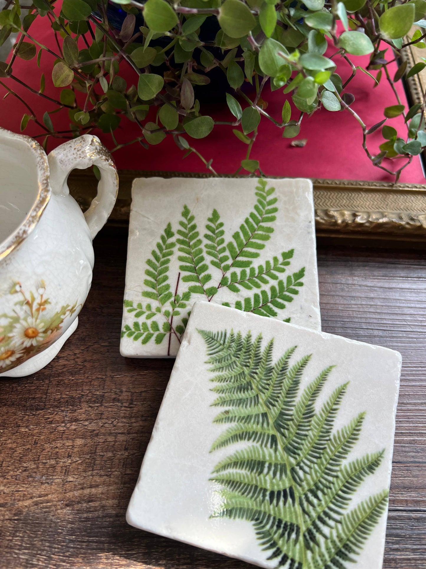Ferns stone coasters