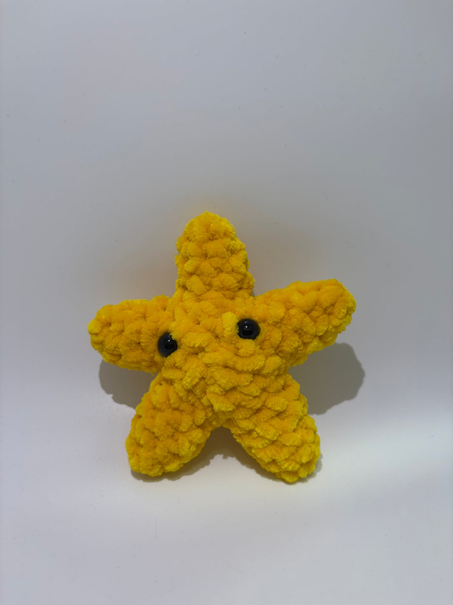 Ocean Activity Starfish