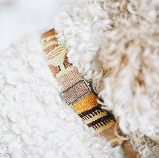 Adjustable Guatemalan Dog Collar