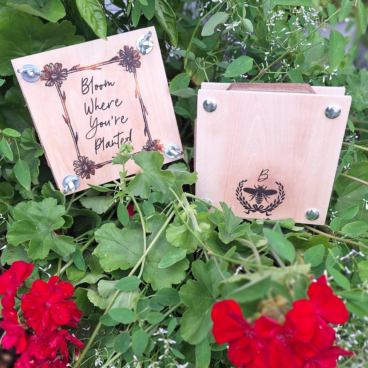 Bloom Where You’re Planted Flower Press