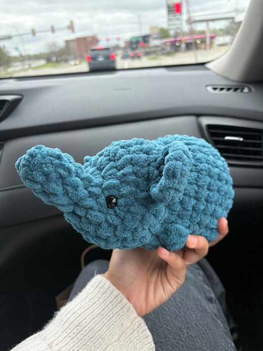 K Elephant
