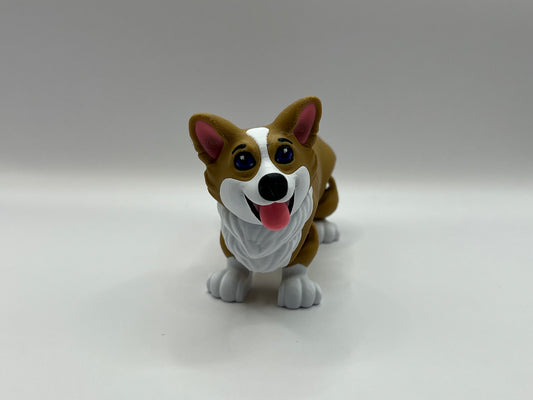 Corgi
