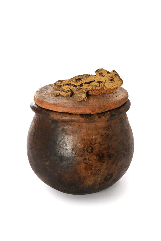Ceramic Jar Chameleon Lid