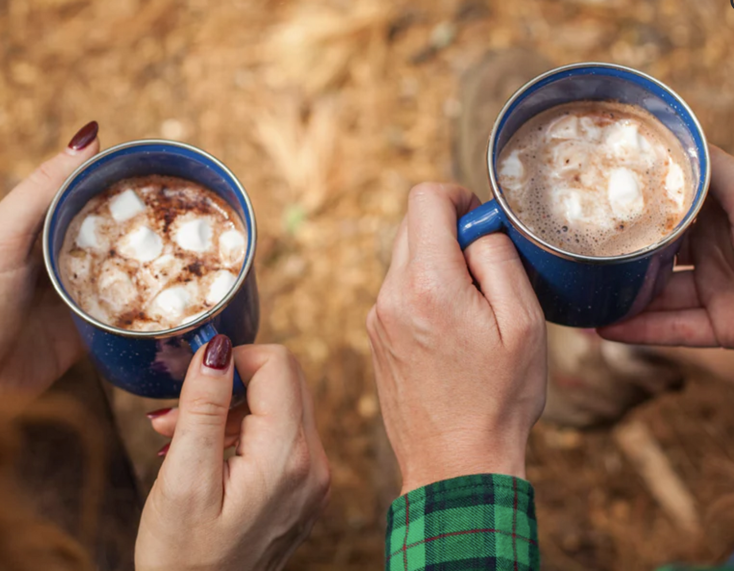 Cocoa Organic Hot Chocolate Mix