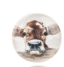 Farm Animal Magnet