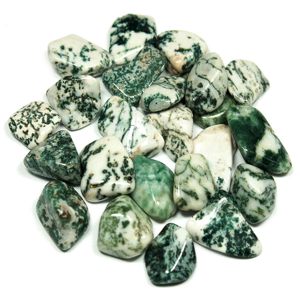 Tree Agate Stone
