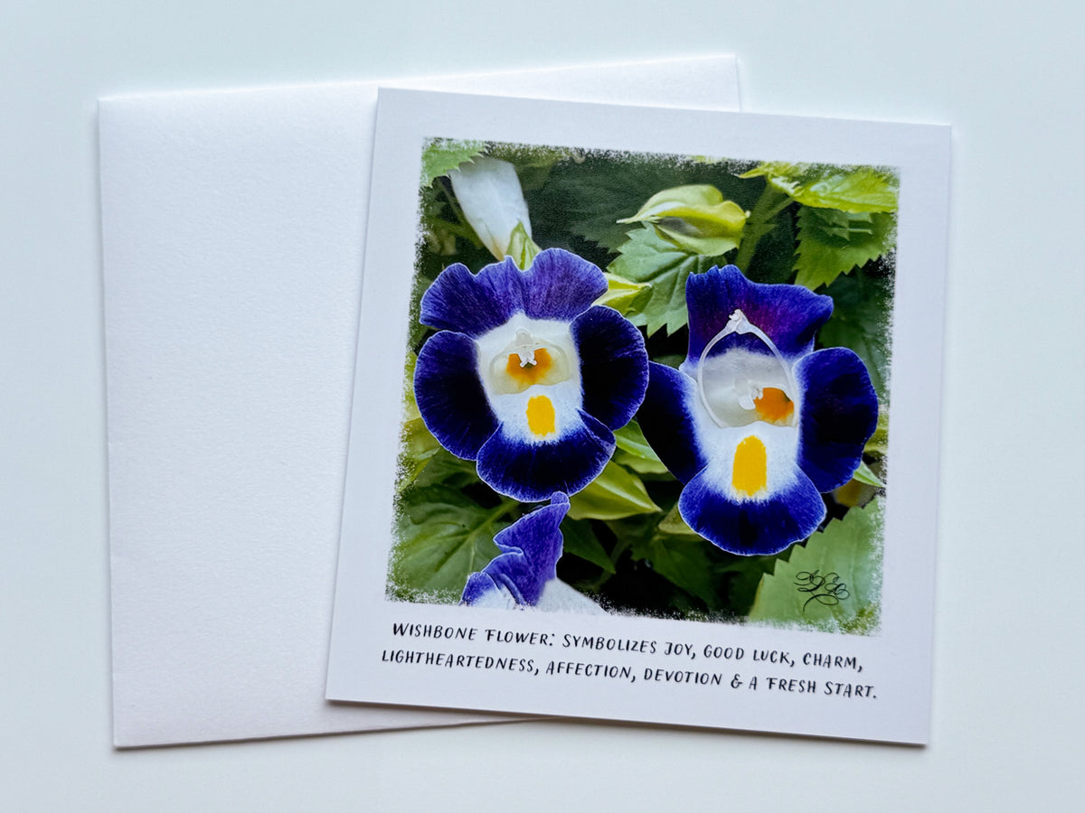 5 x 5 Flower Cards