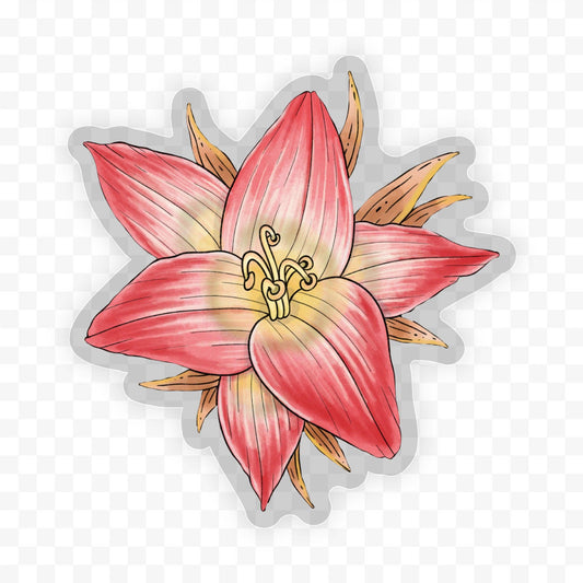 Belladonna - Botanical Clear Sticker