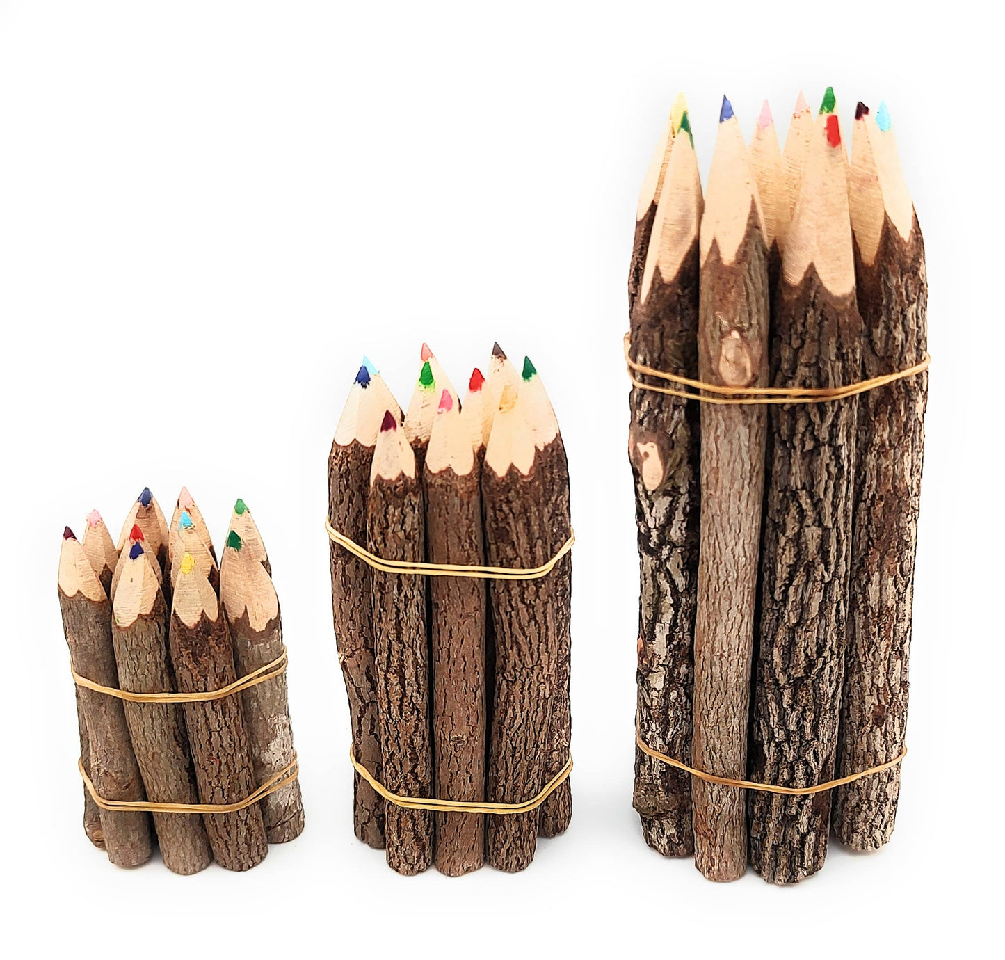 3.5 Inch Color Jungle Vine Pencils
