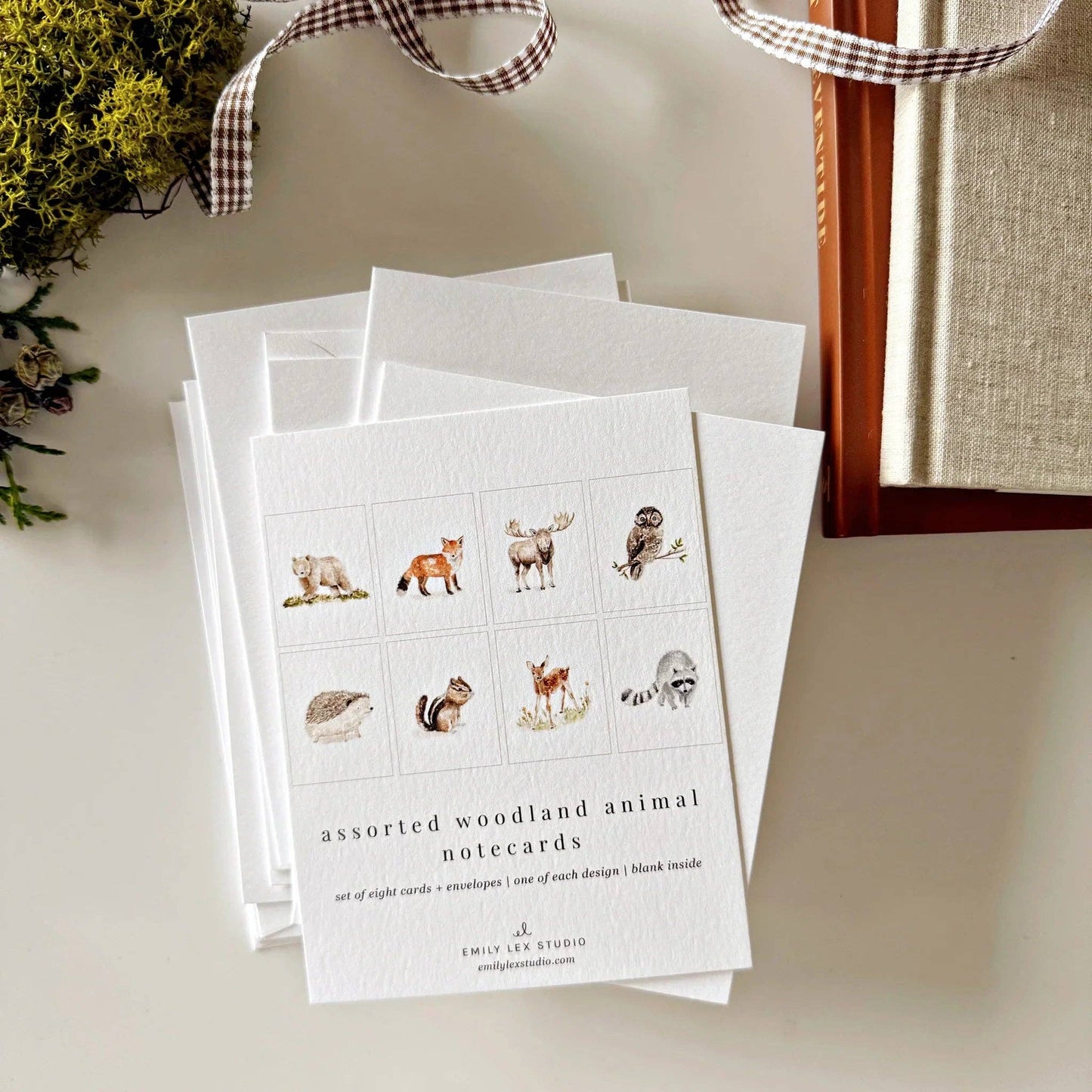 paintable watercolor notecard set Woodland animals