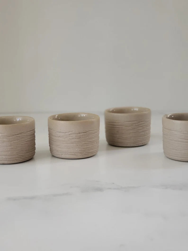 Pitcher & 6 cups PigeonForgeTenn