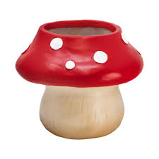 Flower Pot, Mushroom