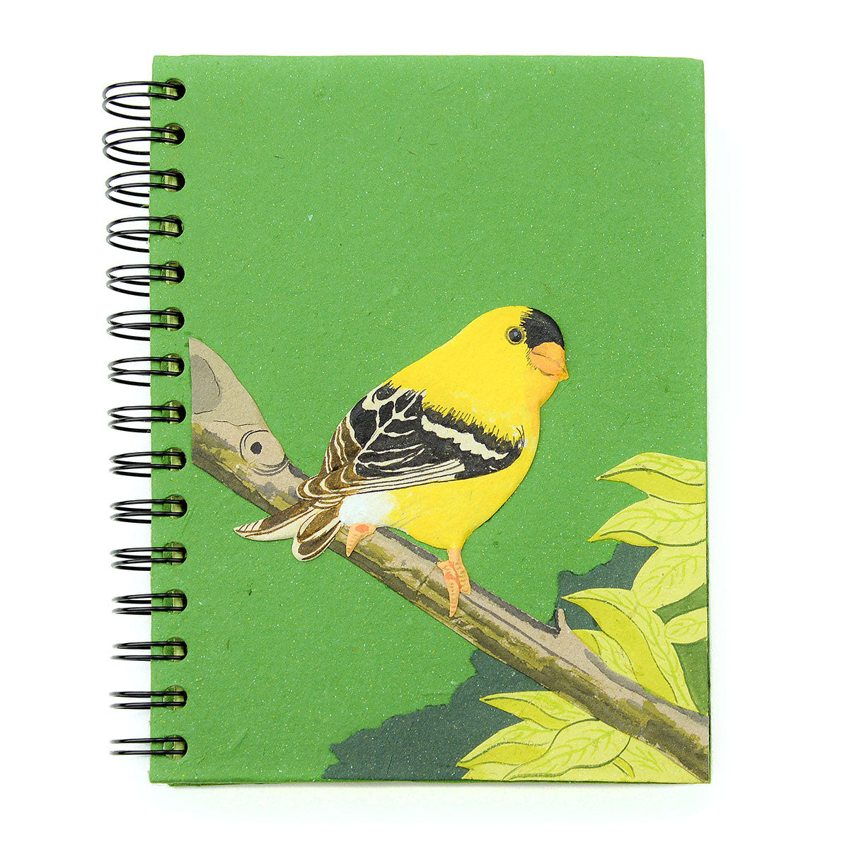 Large Notebooks - Ellie Pooh