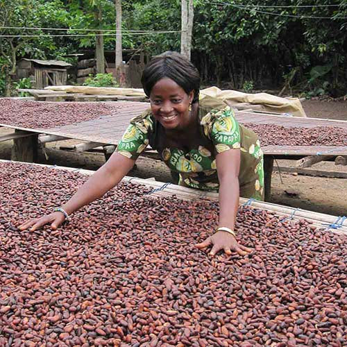 Advent Calendar Milk Chocolate