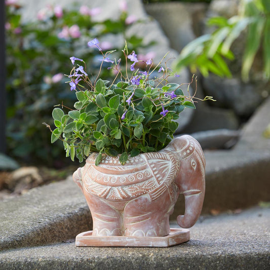 Elephant Planter