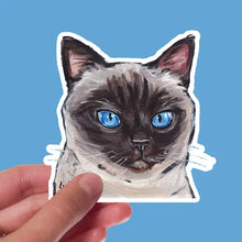 Load image into Gallery viewer, Cat Sticker Bundle
