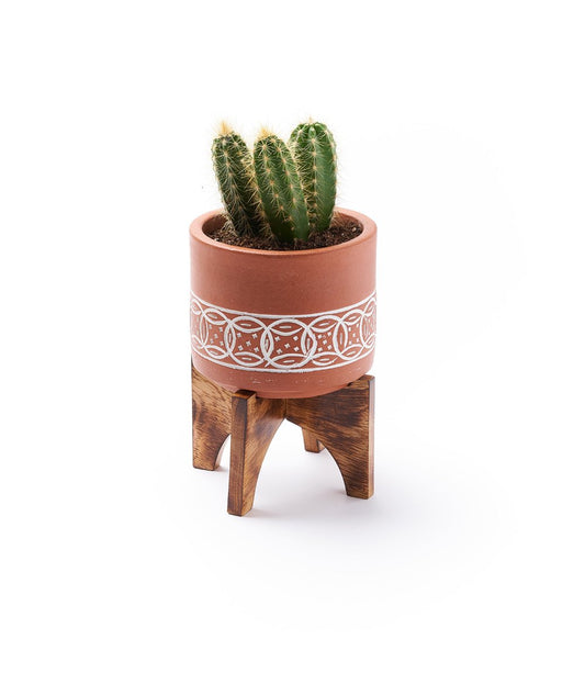 Terracotta Planter with Stand