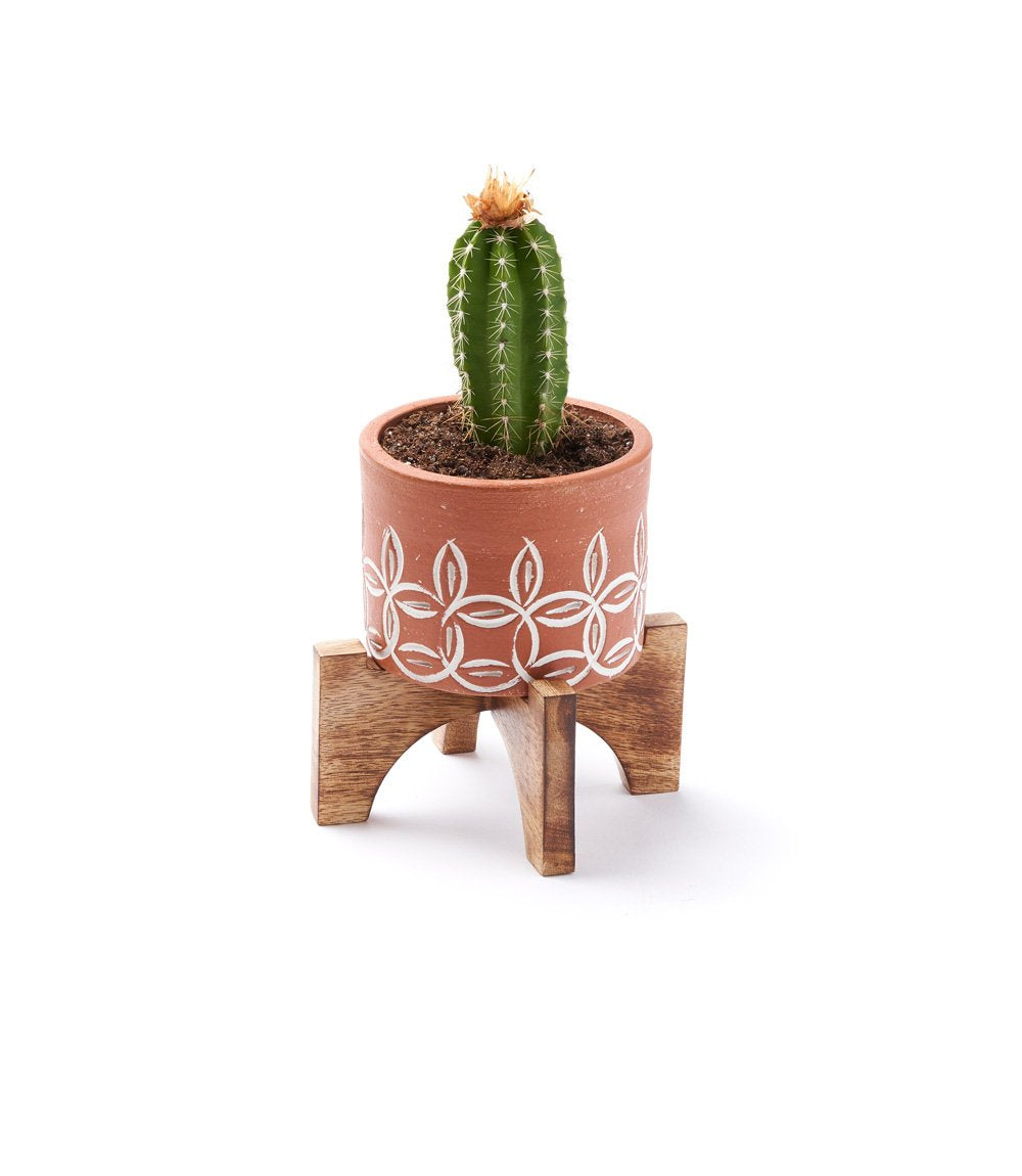 Terracotta Planter with Stand