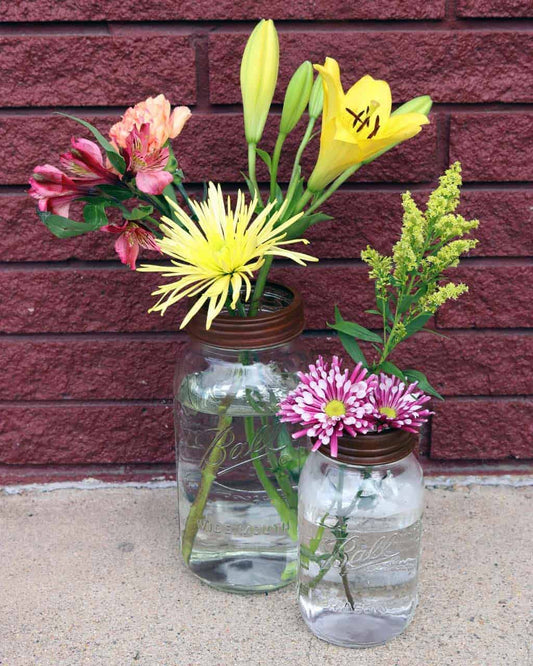 Flower / Organizer / Frog Lids