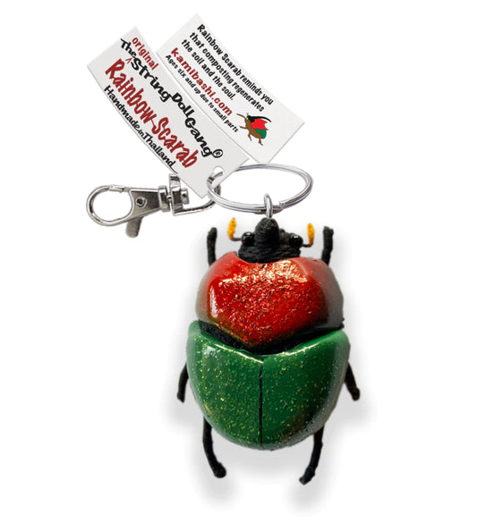 Rainbow Scarab Beetle