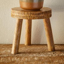 Load image into Gallery viewer, Hand-Carved Mango Wood Plant Stand
