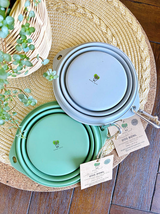 Collapsible Silicone Dog Bowl: 3 Sage Green 3 Gray