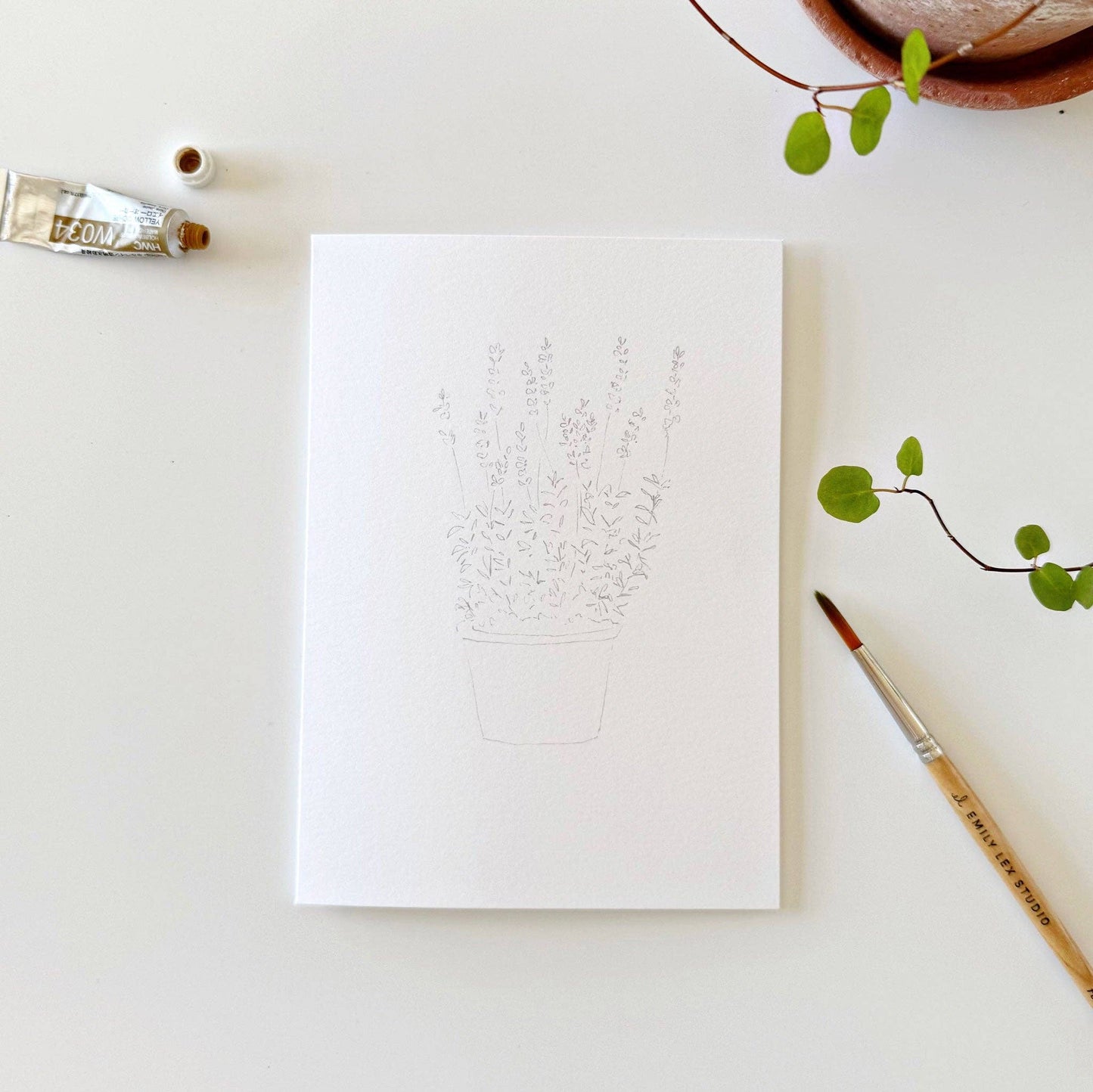 paintable watercolor notecard set Potted plants