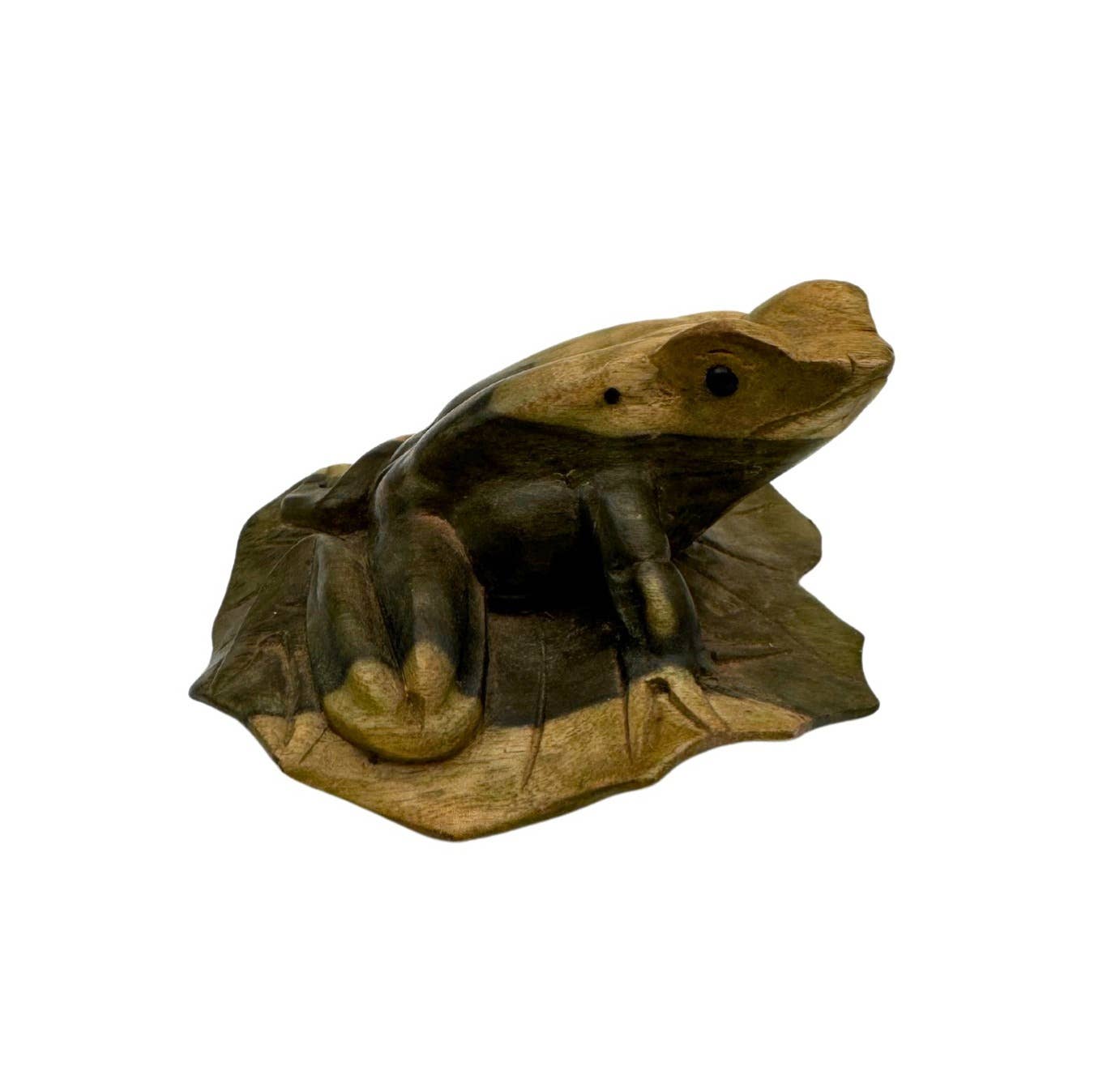Natural Wooden Frog on Hibiscus Leaf