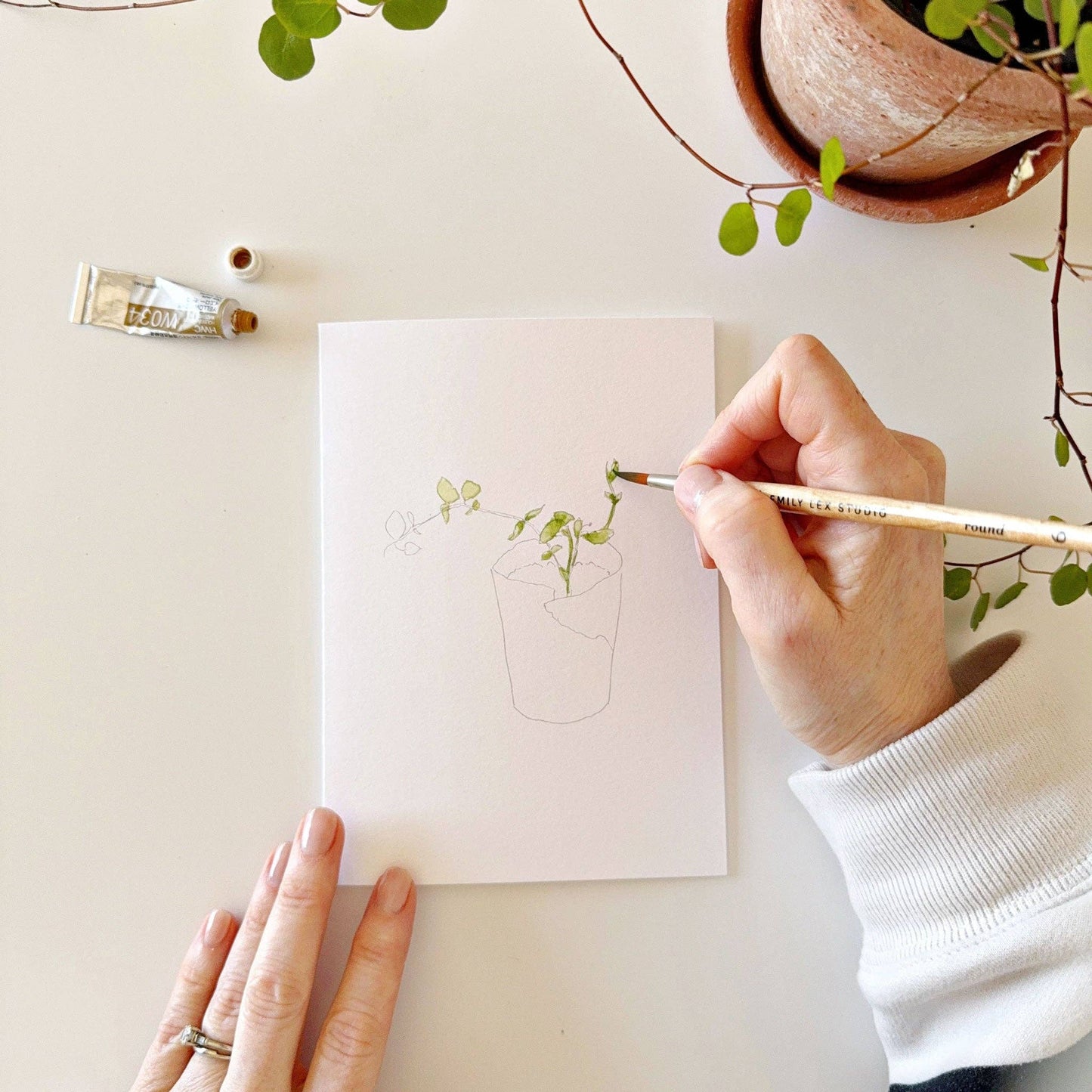 paintable watercolor notecard set Potted plants