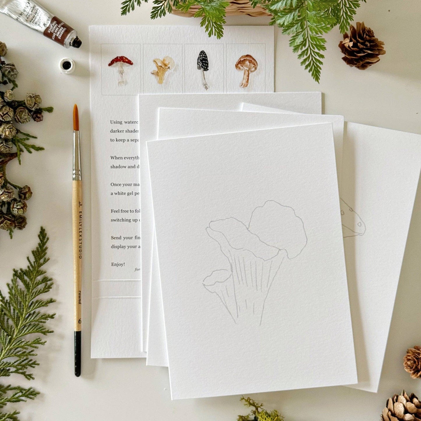 paintable watercolor notecard set Mushrooms