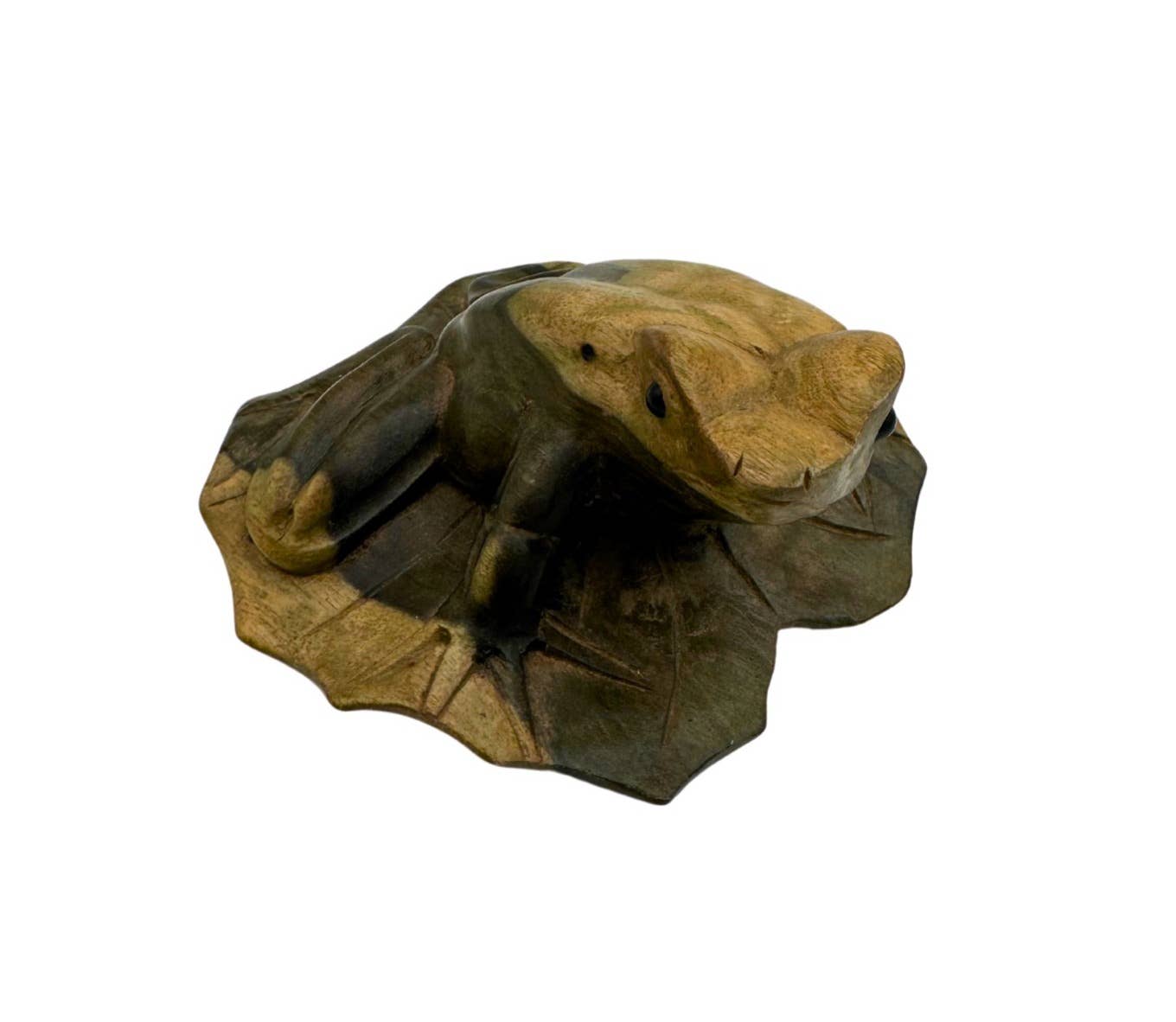 Natural Wooden Frog on Hibiscus Leaf