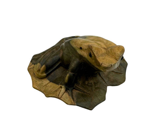 Natural Wooden Frog on Hibiscus Leaf