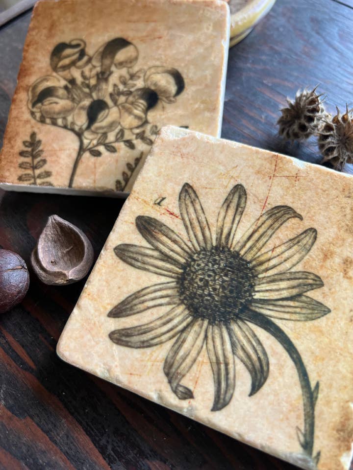 Sepia Botanicals stone coaster