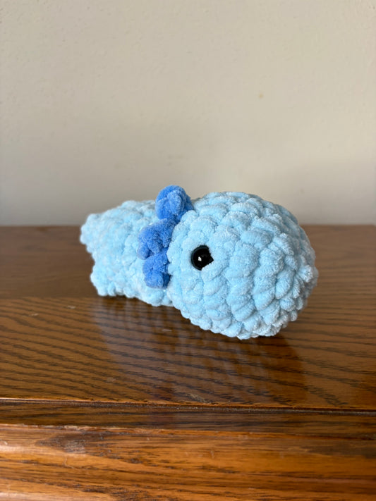 Axolotl