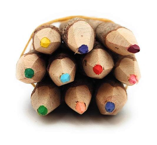 3.5 Inch Color Jungle Vine Pencils