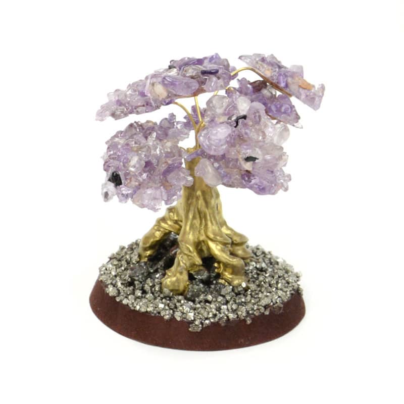 Gold Cascajo Trees