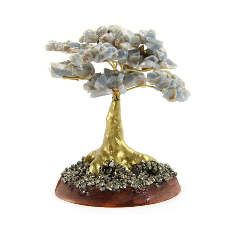 Gold Cascajo Trees