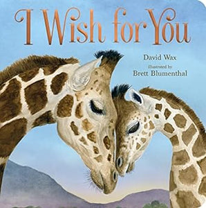 I Wish For You Board Book  1123