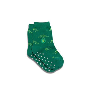 Kids Socks That Give Books
