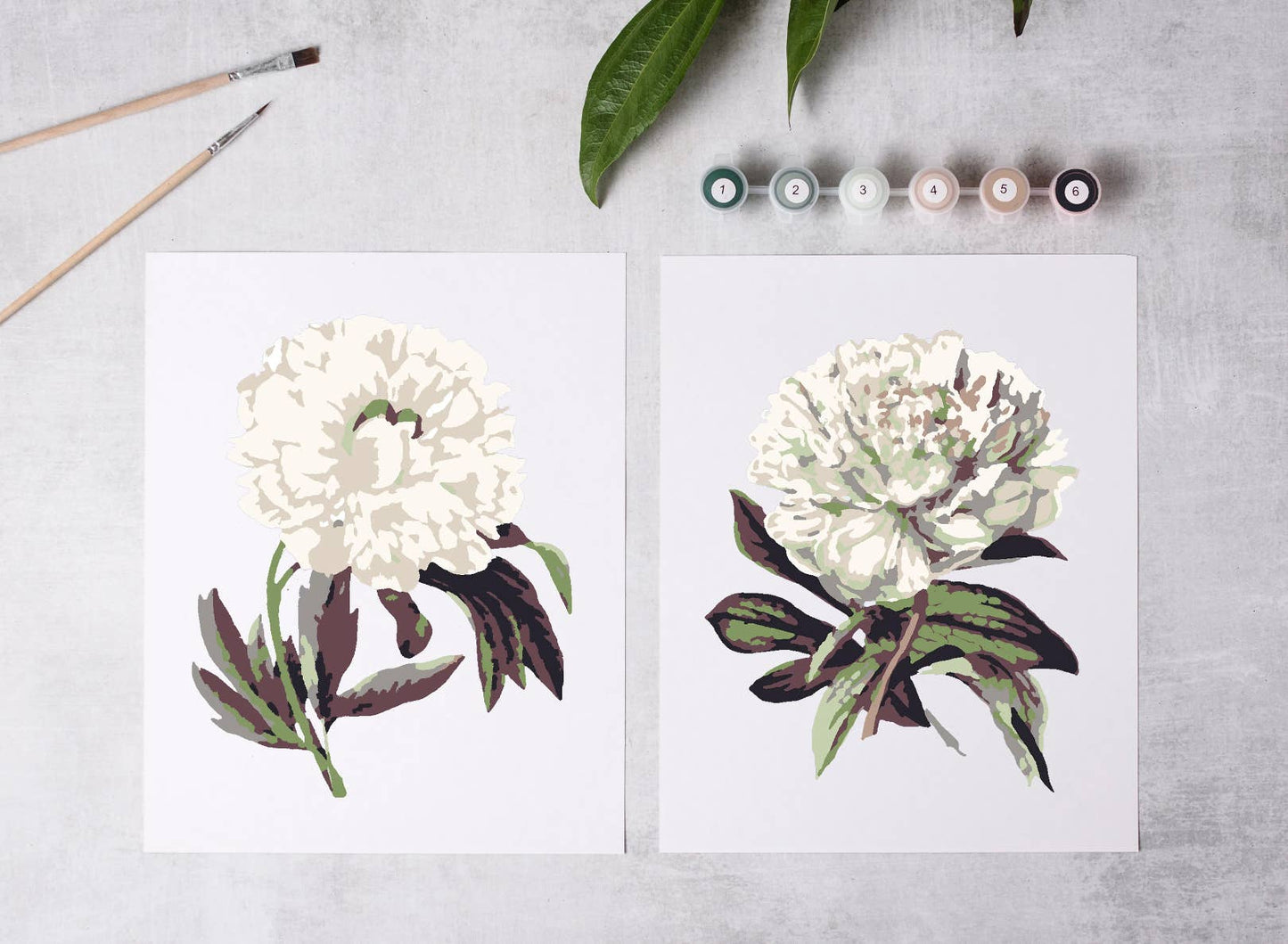 Paint-By-Numbers kit Peony Blossoms
