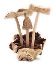Load image into Gallery viewer, Mushroom Extra Small Wooden Hand Carved
