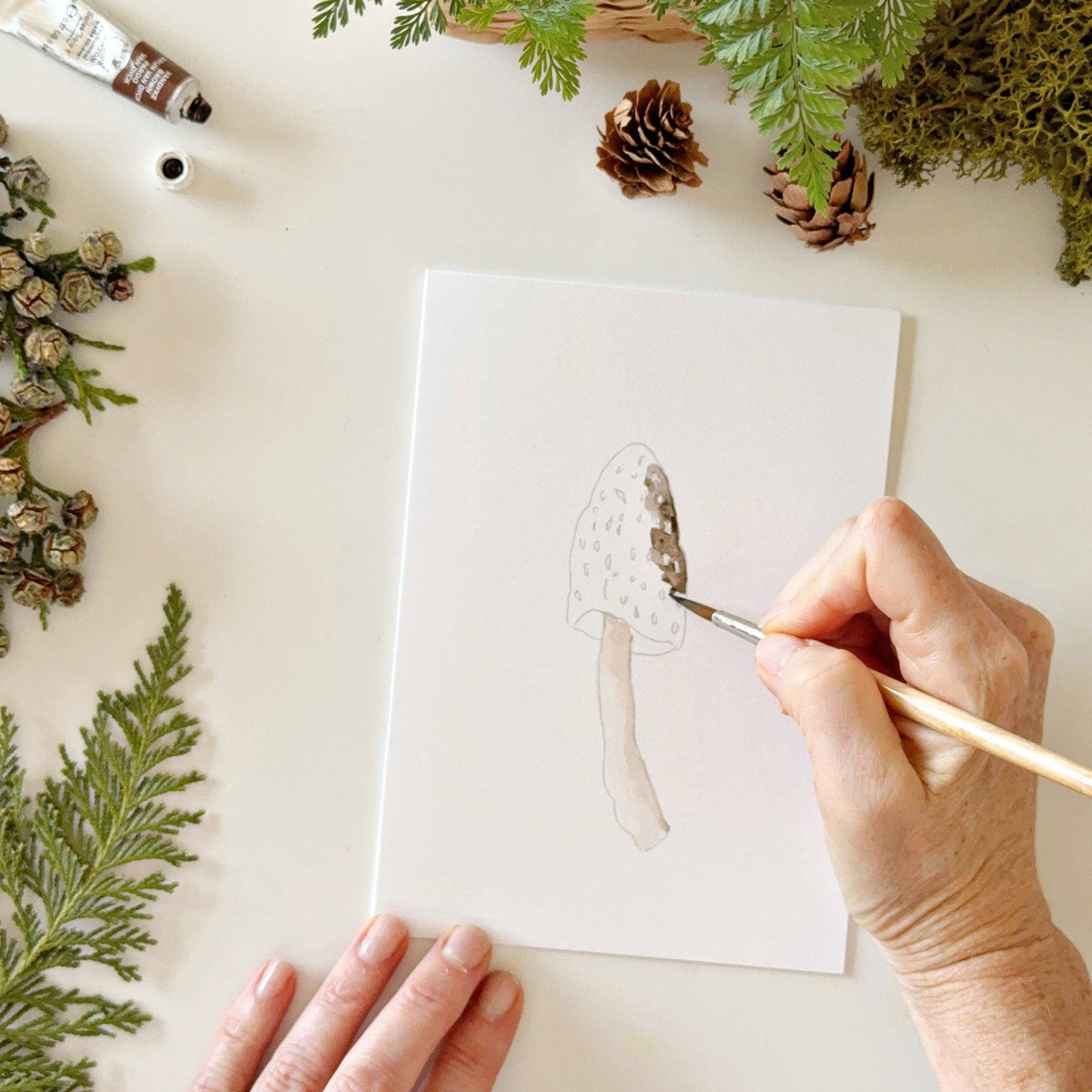 paintable watercolor notecard set Mushrooms
