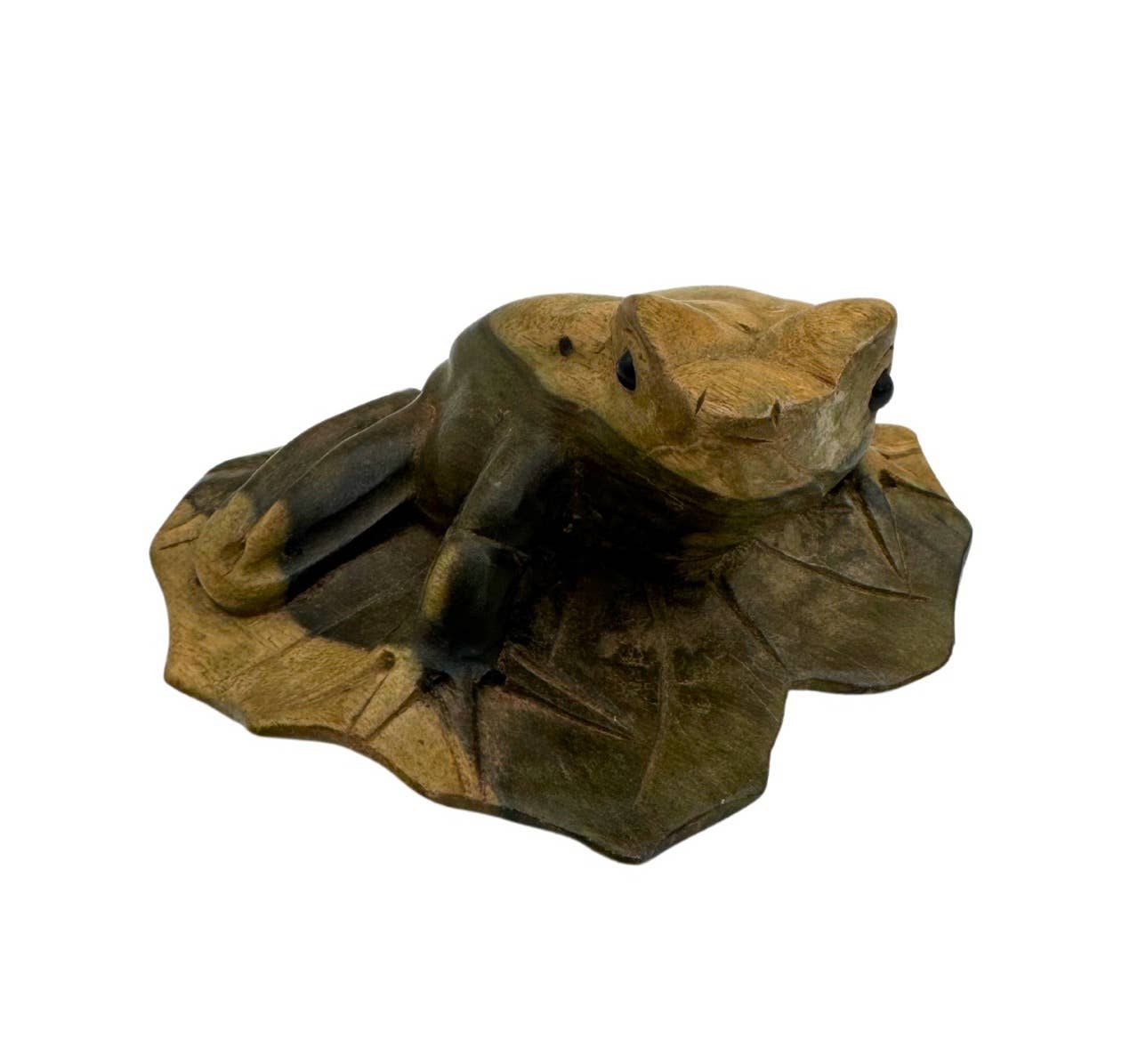 Natural Wooden Frog on Hibiscus Leaf