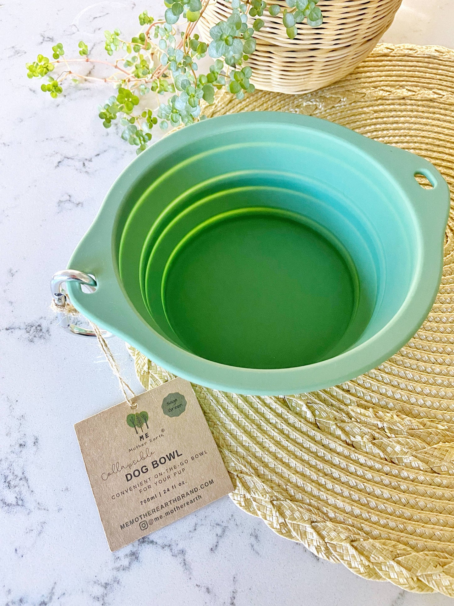 Collapsible Silicone Dog Bowl: 3 Sage Green 3 Gray